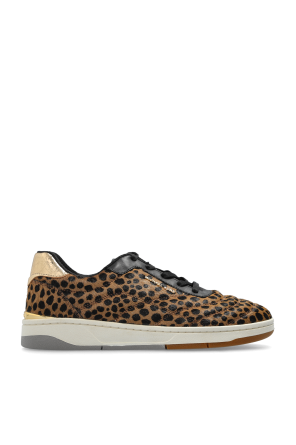 【関税&送料込】Golden  Vce Penstar Sneaker In Leopard Men's VCE Penstar in leopard-print pony skin with black